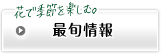 花で季節を楽しむ。最旬情報