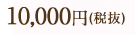 【7】4本立ち／白（高さ：約60cm）10,000円(税抜)