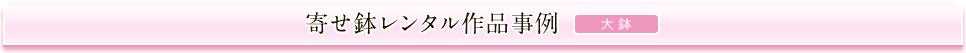 寄せ鉢レンタル作品事例 （大鉢）