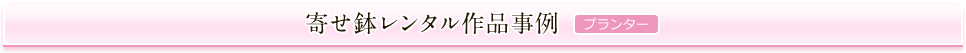 寄せ鉢レンタル作品事例（プランター）