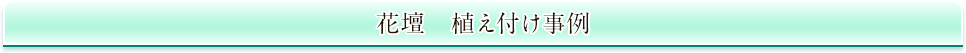 花壇　植え付け事例