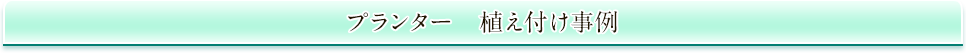 プランター　植え付け事例