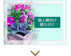 個人様向け植え付け